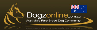 Dogz Online -
Australia's Pure Breed Dog Community